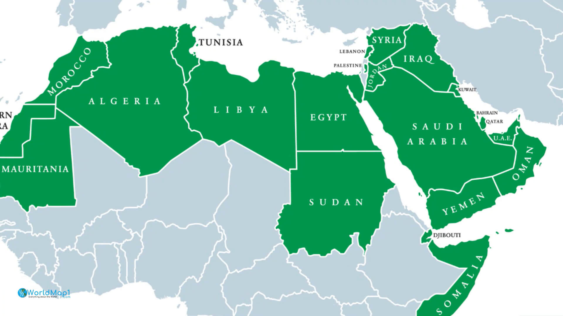 African and Middle Eastern Countries Map with Qatar